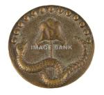 RWb71ds-American rattlesnake and liberty cap button imported from France.