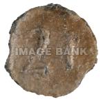 RWb122d- 21st Contintental Infantry pewter button , circa 1776