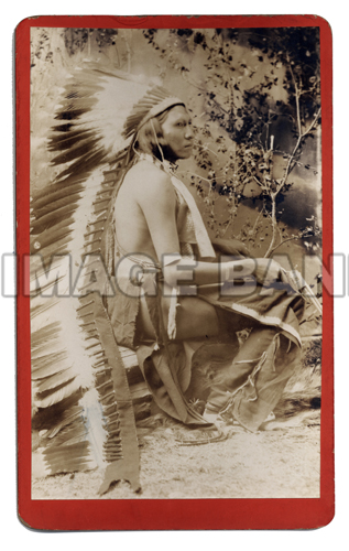 NA84d- Arapahoe Warrior - Young Calf