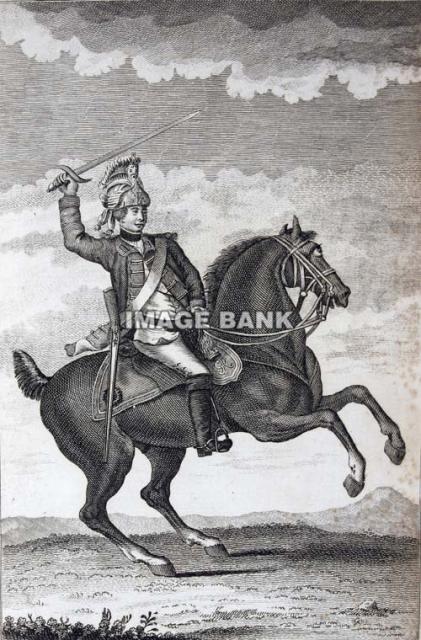 RWf31ds- British Dragoon with saber copy