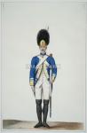 RWf15ds- Grenadier of the French Royal DeuxPonts,104th Regiment -Served at the siege of Yorktown, watercolor  by N. Hoffman abou