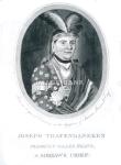 RWf28ds - Engraving of Joseph Brant - Mohawk Cheif copy