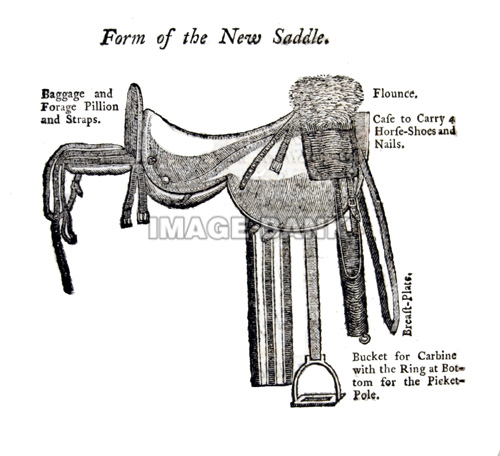 RWf32ds- British saddle drawing copy