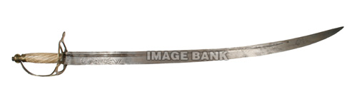 RWe127ds - American dragoon officer's saber with twisted white ivory grips and brass hilt with a spoked style guard. The blade h