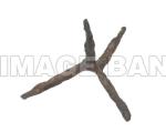 RWe110d_caltrop_copy