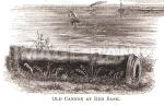 RWf88d_Cannon_at_Red_Bank