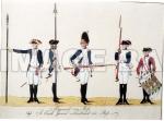 RWf119d_Hessian_Regiment_Von_Bose_about_1784_copy