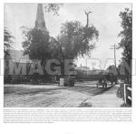 RWf168d_Washginton_Elm_and_Memorial_Stone_Cambridge_Mass