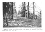 RWf180d_Bennett_Lane