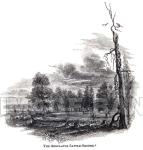 RWf262d_Regulator_Battle_Ground_copy
