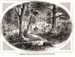 Rwf273d_King_s_Mountain_Battle_Ground_copy