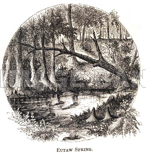 RWf278d_Eutaw_Spring_copy