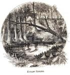 RWf278d_Eutaw_Spring_copy