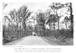 RWf297d_On_The_Road_to_Jasper_Spring_Near_Savannah_From_1890_s_Photograph_copy