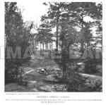 RWf298d_Greene_s_Spring_Camden_From_1890_s_Photograph_copy