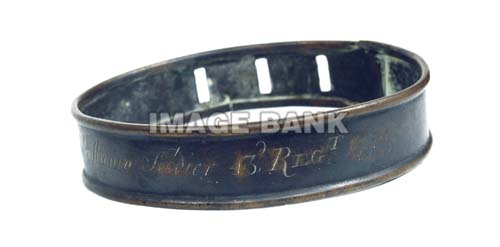 RWr23ds_Dog_collar_copy